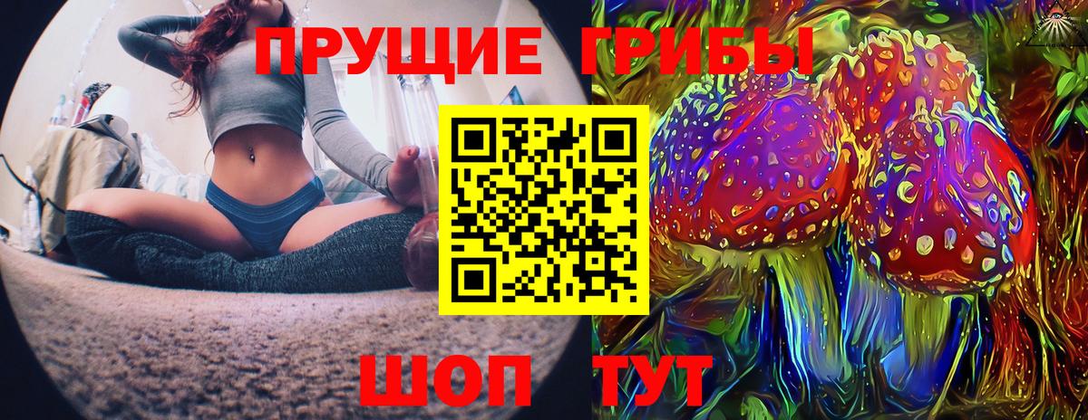 Галлюциногенные грибы Psilocybine cubensis Лесозаводск